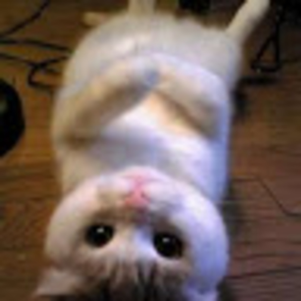 Meet your Posher, Michele